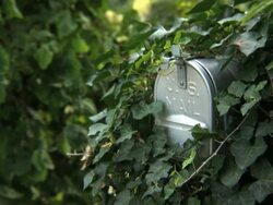 PAL: Getting parcel Stock Footage