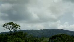 Storm clouds roll over a rainforest. Stock Footage