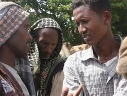 Men dealing at camel fair Stock Footage