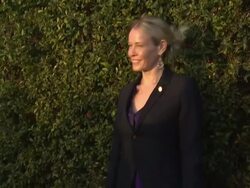 Chelsea Handler at The Museum Of Contemporary Art, Stock Footage