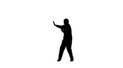 Tai chi training Stock Footage