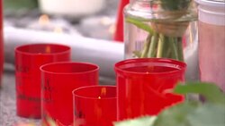 9 killed and more injured as teenager goes on shooting rampage in Munich News Clip