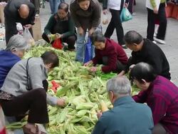WS Food and shoppers in Street market/xian,shaanxi,China Stock Footage