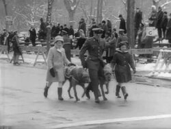 St. Patrick's Day Parade Stock Footage