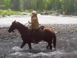 Cowgirl crossing river on horseback  with fellow Cowboys Stock Footage