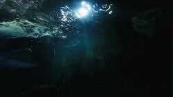 Donostia Aquarium San Sebastian Stock Footage