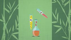 TED-ED: The deadly irony of gunpowder - Eric Rosado Instructional Video