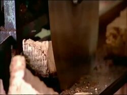 Cork (Quercus suber) processing - cutting with circular saw, Andalusia, Southern Spain Stock Footage