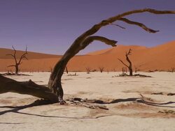 Sossusvlei Stock Footage