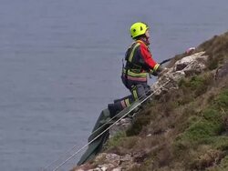 Woman Survives after Car Plunges Down Cliff News Clip