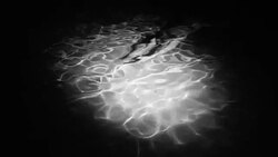 Swimming pool Stock Footage