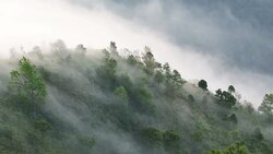 Fog moving over rainforest mountain , Thailand Stock Footage