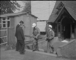 WORM IN THE WOOD News Clip