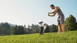 Young man training his dog animal tricks Stock Footage