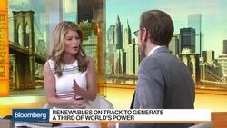Renewables on Track to Generate a Third of World's Power News Clip