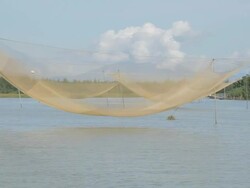 BOAT POV WS Traditional Fishing Net Resting Above Water / Vietnam Stock Footage