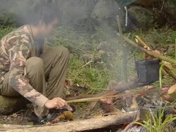 Forester preparing firewood. Stock Footage