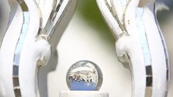 Crystal Glass Sphere Stock Footage