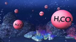 Acidification of Oceans major threat to world's reefs Instructional Video