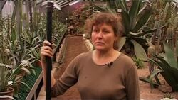 Historic botanical gardens falling into disrepair News Clip