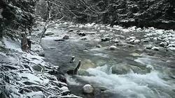 River in the mountains of Caucasus Stock Footage