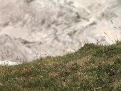 HD: Hiking Stock Footage