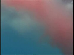 MS Shark bait, blood cloud in water, Guadalupe Island, Pacific Ocean Stock Footage