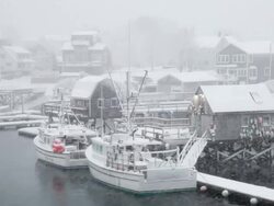 Winter in Maine Stock Footage