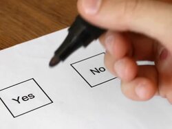 Voting Marking Yes Stock Footage