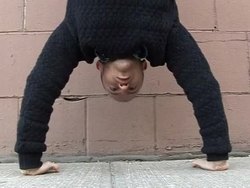 VOICED: Cave man cuisine, the latest fad diet News Clip