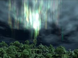 NOrthern Lights over the forest Stock Footage