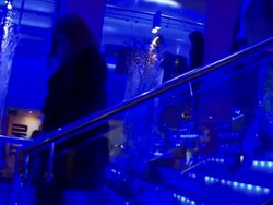 Alex Pettyfer at the I Am Number 4 Special Screening at London England. (Footage by WireImage Video/GettyImages) Stock Footage