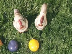 Easter scene from above Stock Footage