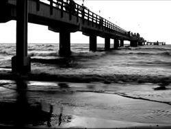 Under the bridge Stock Footage