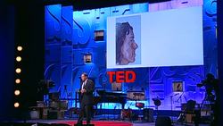 Iain Hutchison: Saving faces: A facial surgeon's craft Instructional Video