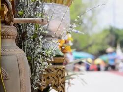 Temple Stock Footage