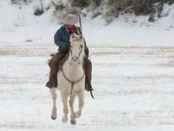 TS Cowgirl on a horse galloping across field / Shell, Wyoming, United States Stock Footage