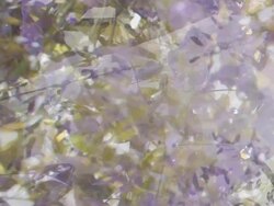 WISTERIA SINENISIS BRIGHT - expanding flow to the right. (loop) Stock Footage