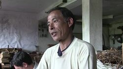 VOICED : Post quake Nepal struggles to preserve vanishing skills News Clip