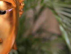 Singapore temple Buddha Stock Footage