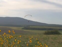 Parasailing Part 15 Stock Footage