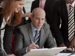 Portrait Of A Business Collective Stock Footage