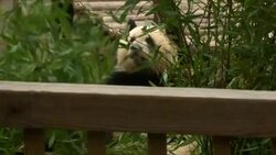 Michelle Obama's China trip takes on Tibetan theme News Clip