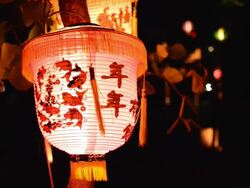 Chinese Lantern Stock Footage