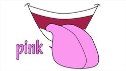 The Colors Song in English Instructional Video