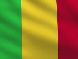 Malian flag Stock Footage