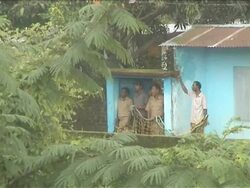 Wild Leopard Injures Five In Remote Indian City Of Stock Footage