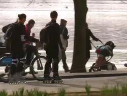 MS TS People skating in park by lake / London, United Kingdom Stock Footage