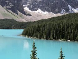 Pine trees on edge of Moraine Lake, Banff National Park, Canada Stock Footage