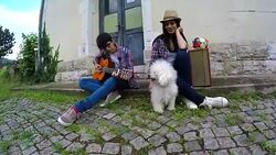 Young couple in love playing acoustic guitar in the park Stock Footage